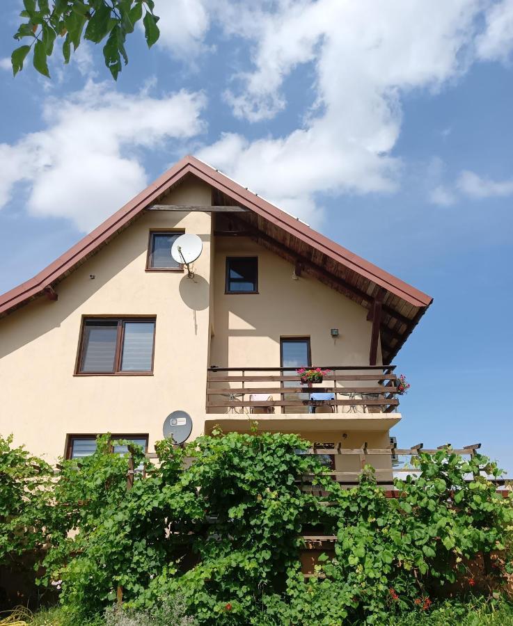 Wynajem Pokoi Wiki Apartment Mikołajki Bagian luar foto